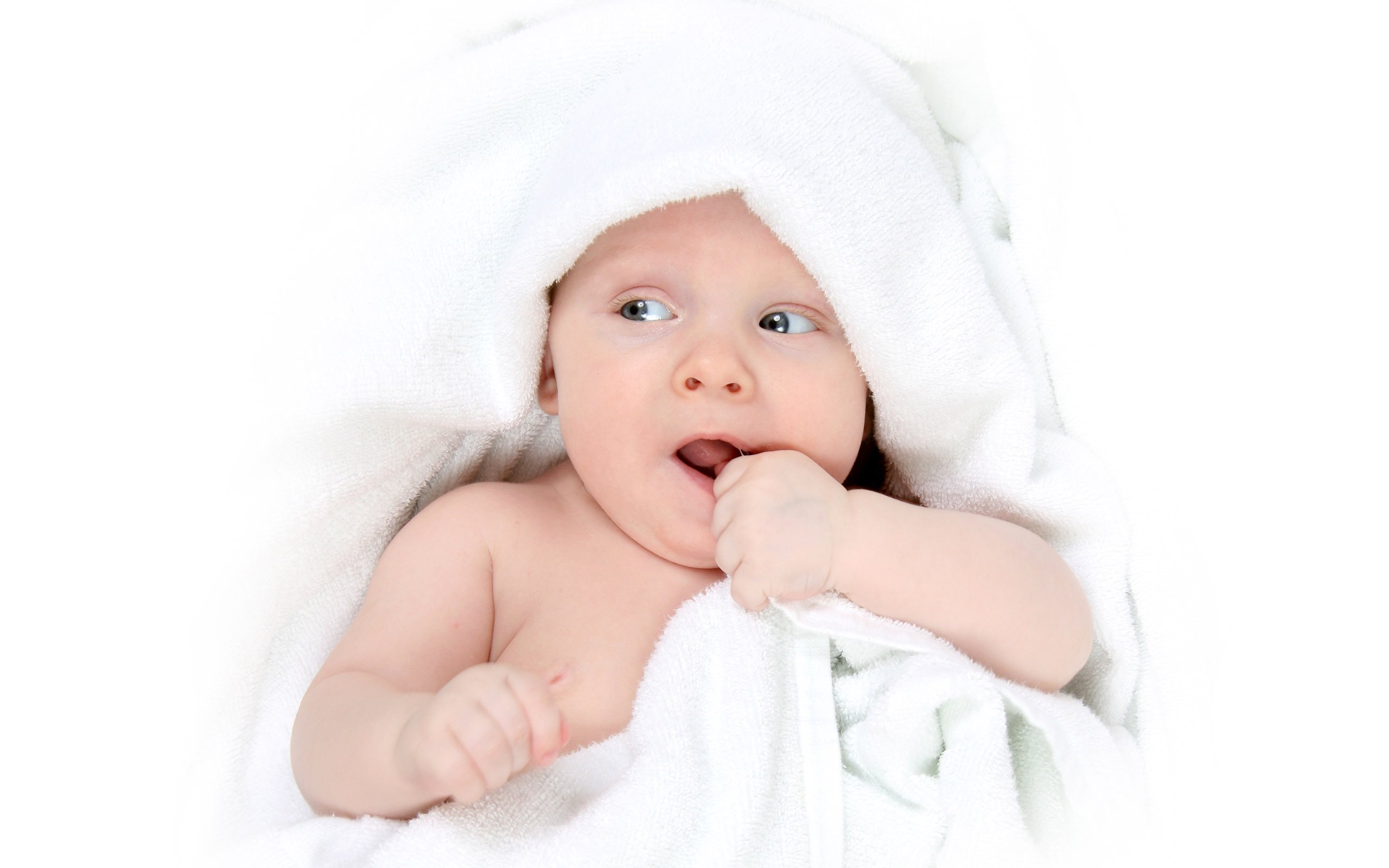江门助孕公司机构捐卵的试管婴儿移植成功率